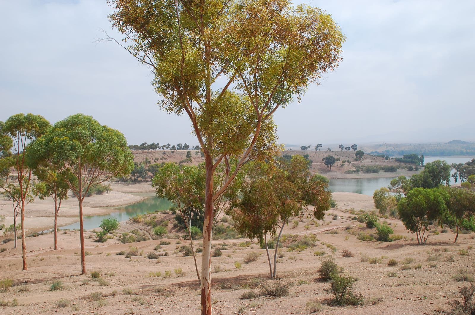 Lake Lalla Takerkoust at the foot of the High Atlas, near Marrakech